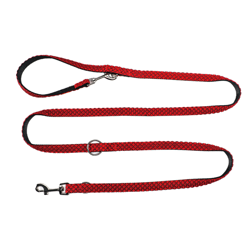 Multi-functional Leash for Dogs